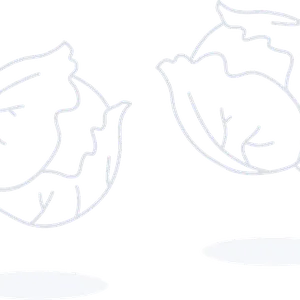 Home 23 CDMS Digital Logo